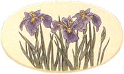 Nantucket Basket Iris