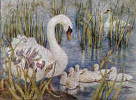 Long Pond Sanctuary