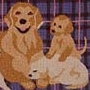 Claire Murray Dog Rugs