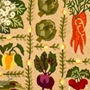 Claire Murray Harvest Collection