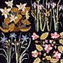 Claire Murray New England Wildflowers