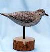 Shorebirds