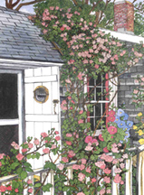 Siasconset Cottage Giclee by Victoria Elbroch