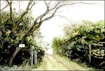 Nantucket Lane