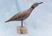 Dunlin
