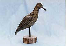 Stilt Sandpipers